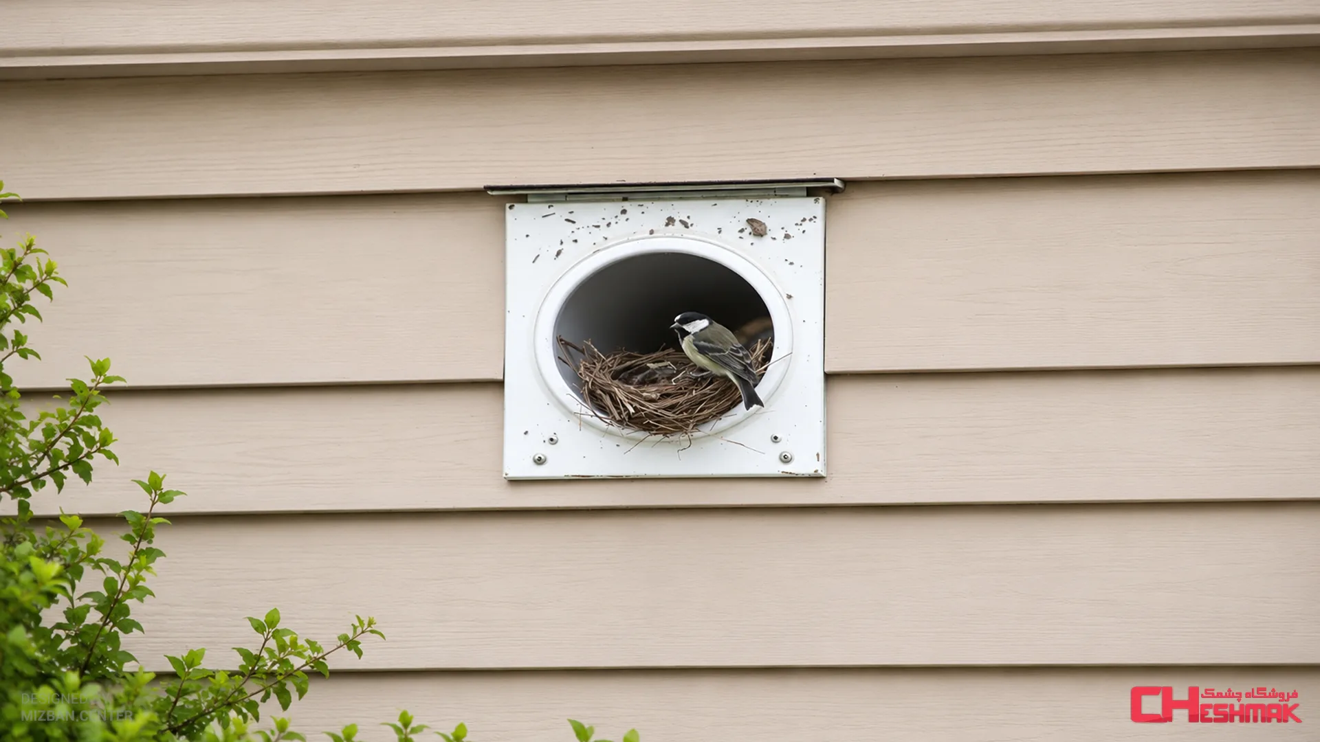 Bird Nesting in Chimney Package Vent Signs Dangers Hassle Free Solutions